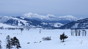 Beautiful Yellowstone NP Winter Mountain View of Lamar Valley